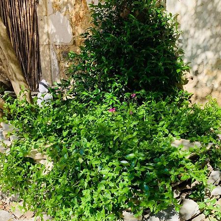 Appartement Avec Jardin Privatif Cazouls-les-Beziers Ngoại thất bức ảnh