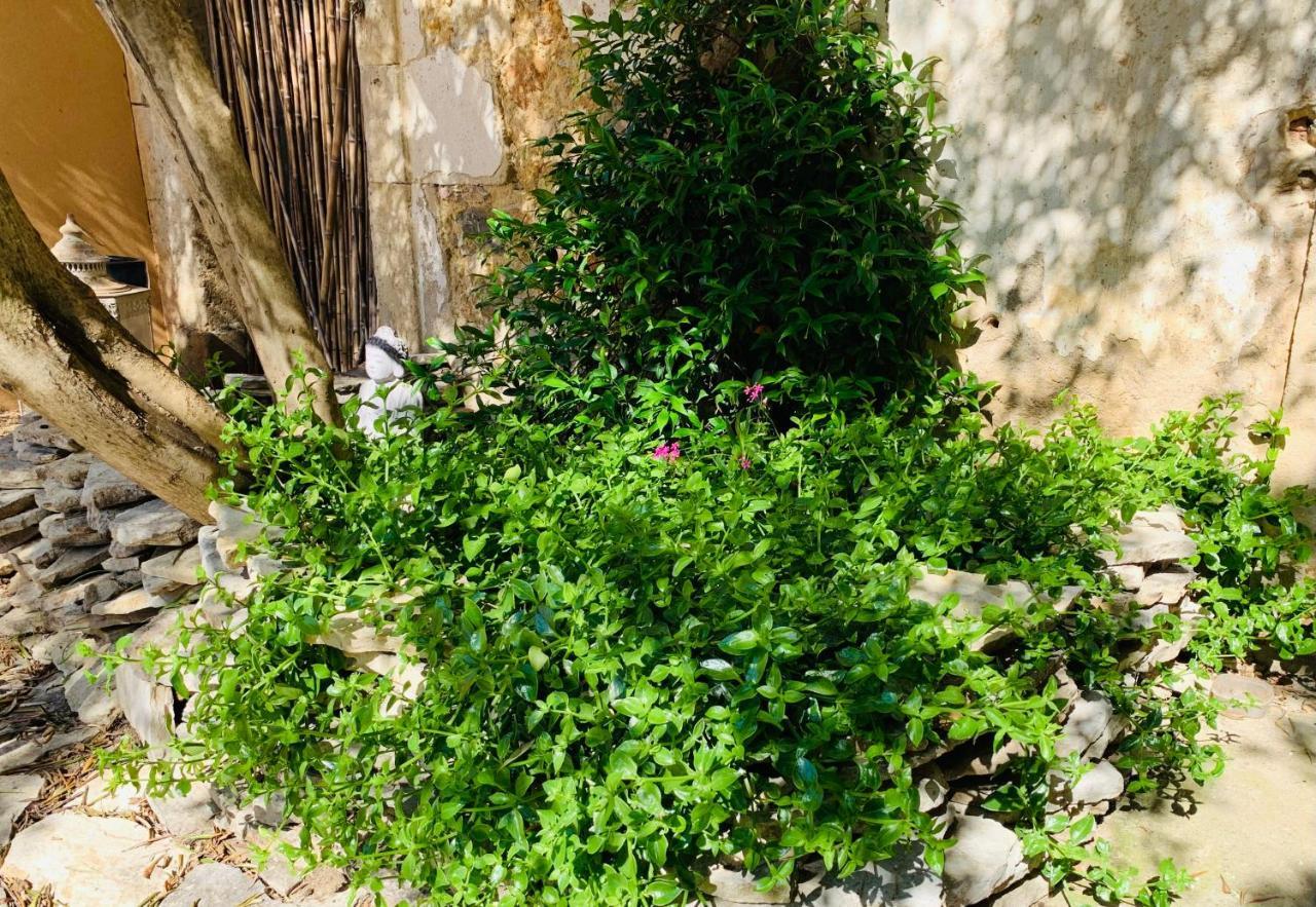 Appartement Avec Jardin Privatif Cazouls-les-Beziers Ngoại thất bức ảnh